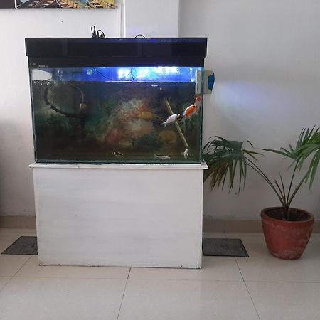 Hotel Lake N Yeti Pokhara Eksteriør billede